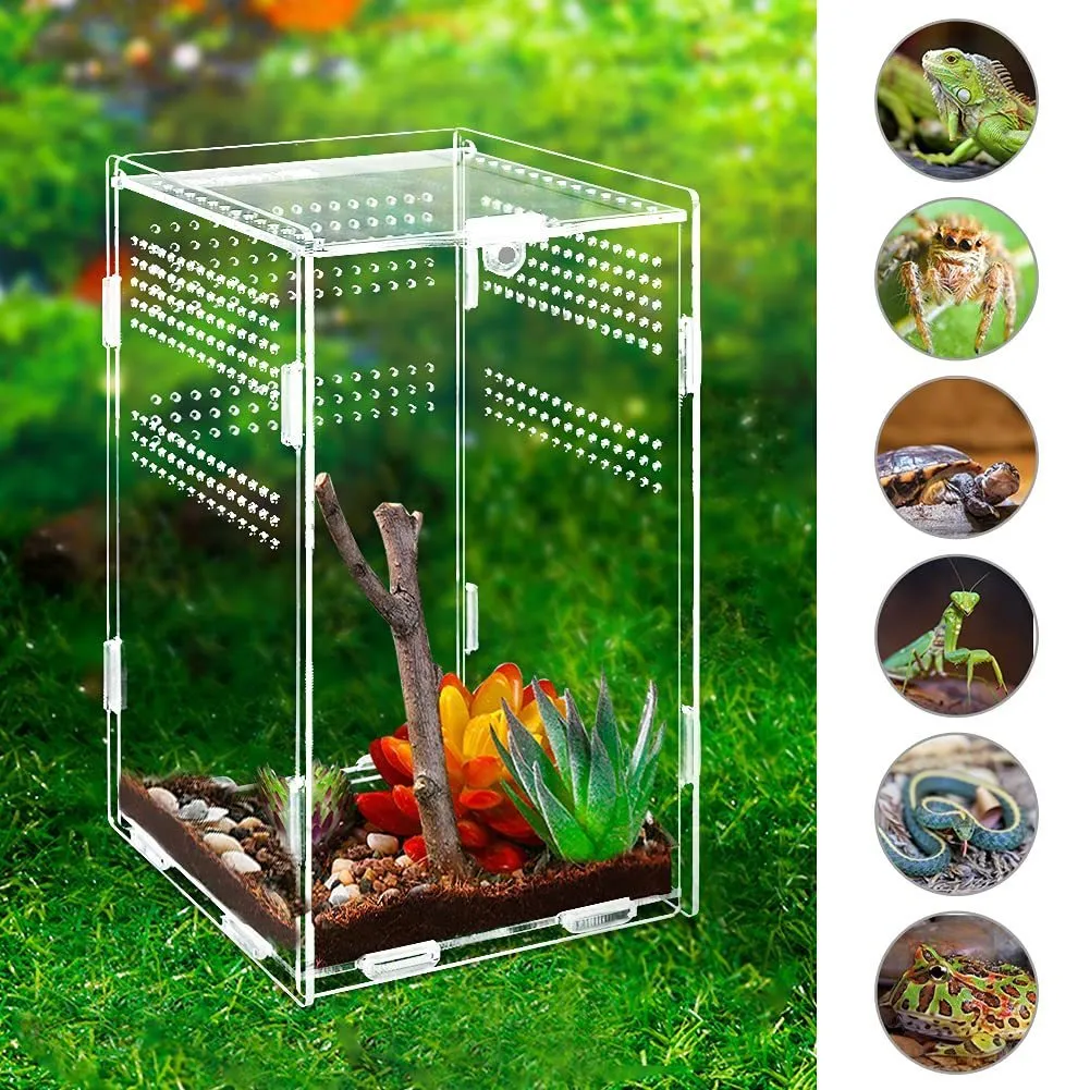 Forniture per rettili Habitat Terrarium Allevamento Box per Spider Scorpion Sling Isopods Custodia in acrilico Nano Arboreal Tarantula Enclre 230627