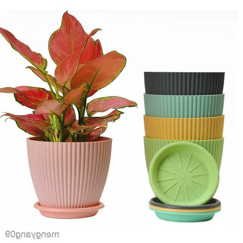 Colorful Succulent Homebase Garden Pots With Drain Hole Resin Container