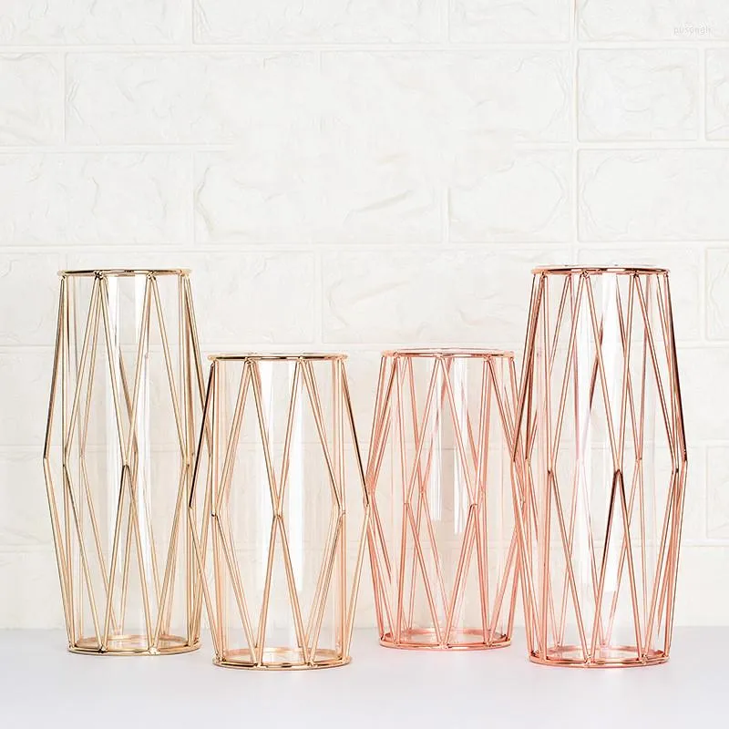 Vasos Moda Moderna Champanhe Dourado Vaso Hidropônico Vaso De Ferro Nórdico Rosa Corredor De Estudo Casa Decoração De Casamento