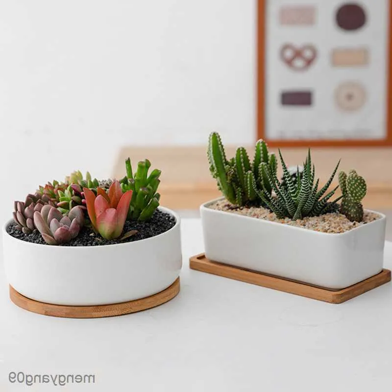 Planters Pots Simple Succulents White Porcelain Flower Pots Round Rectangular Refreshing Ceramic Pots Balcony Green Planting Home Garden Pot R230621