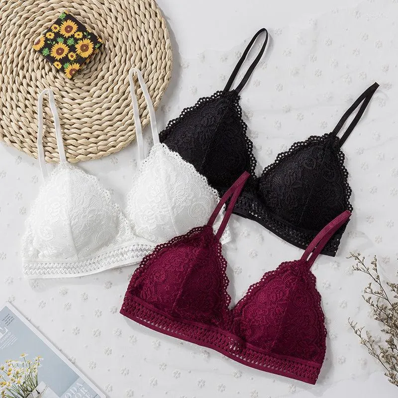 Wavsiyier 2023 Push Up Bralette Wireless Seamless Lace Transparent Lace  Sleepwear For Women With Sexy Silk Lingerie From Changkuku, $15.08