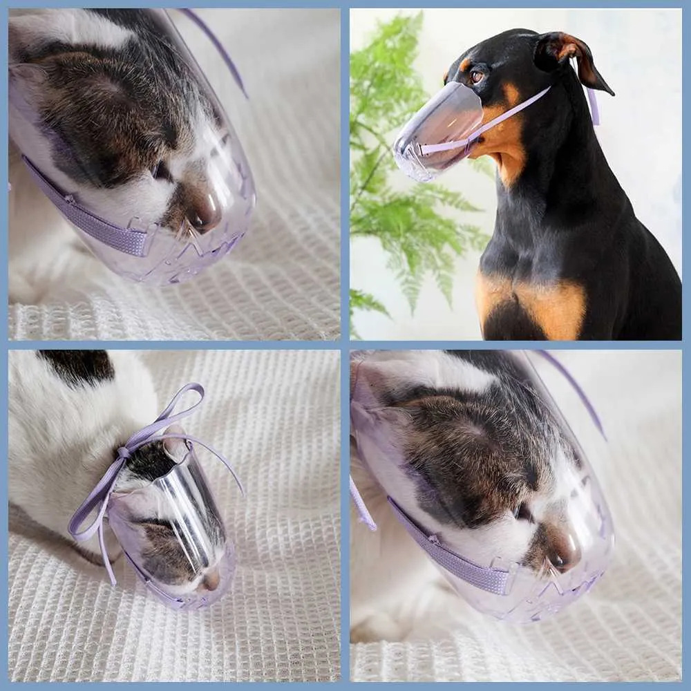 Dog muzzle for bathing deals