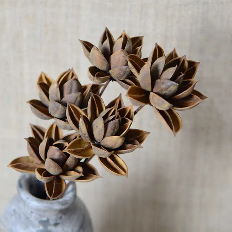 Torkade blommor 5st Natural Lotus Home Decorating Wedding Decoration Table Party Decorative Dry Flower Branch Flores Preservadas