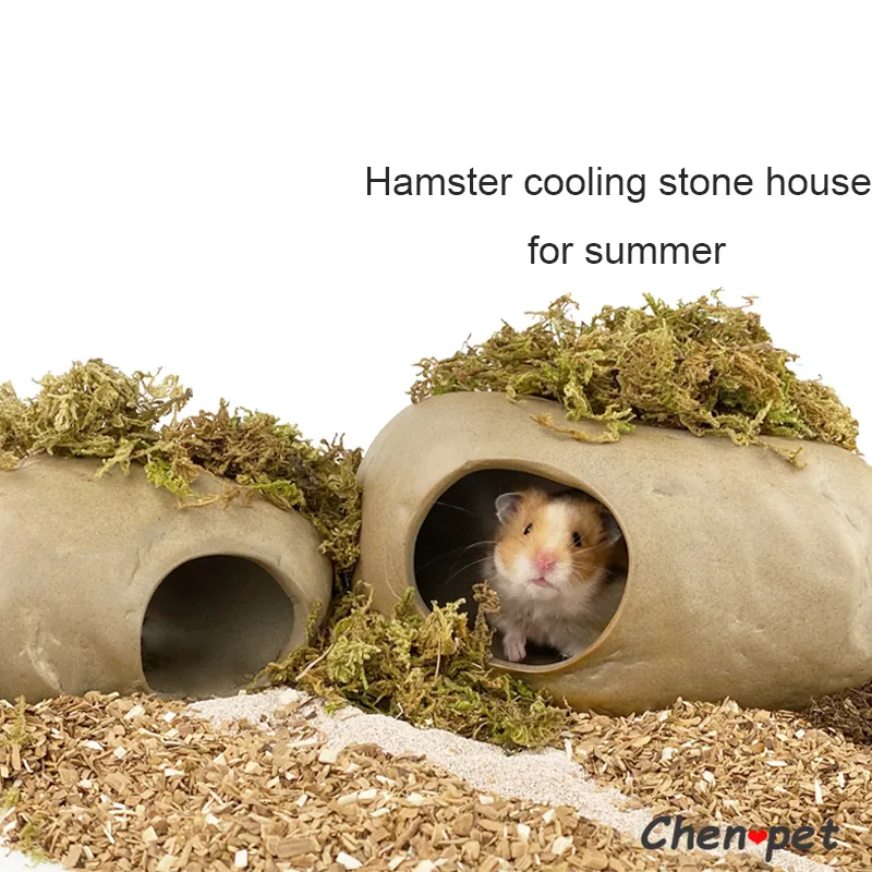 Curated visual reference: Cooling Ceramic Pet House Summer Shelter For Hamsters Guinea Pigs Photo Inspiration