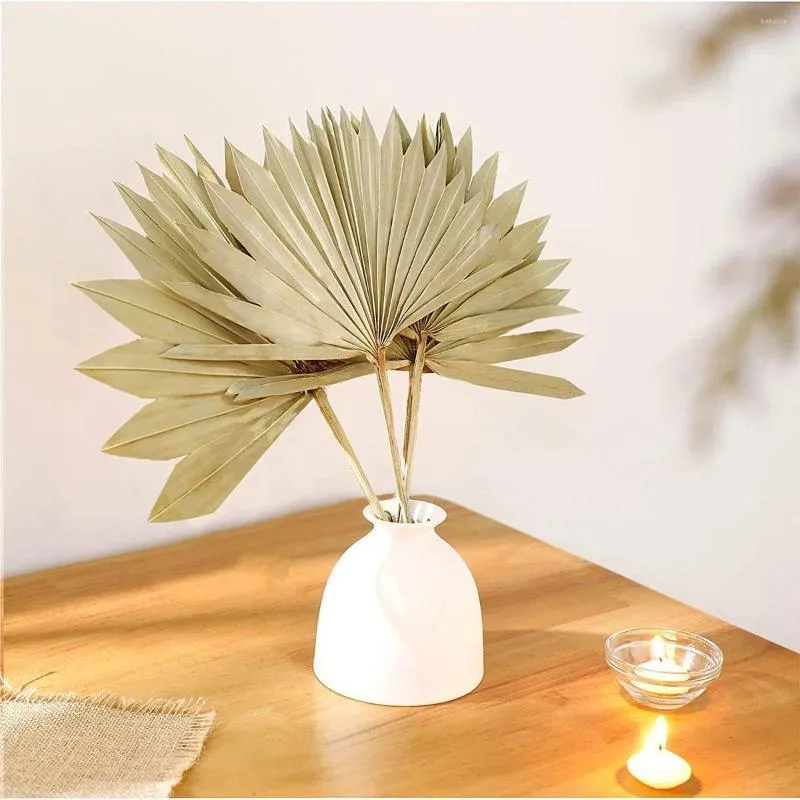 Decoratieve Bloemen 3 STKS Gedroogde Palm Bladeren Natuurlijke Fans Thuis Boheemse Feestdecoratie Voor Huis Keuken Decor DIY Bruiloft Bloem