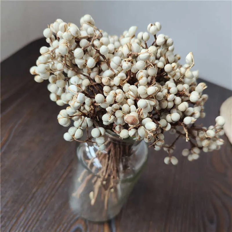 Torkade blommor 10 ~ 20 cm dekorativ verklig minifrukt naturlig liten blomma bukett vita frukter för heminredning weddinng ordna dekorationer