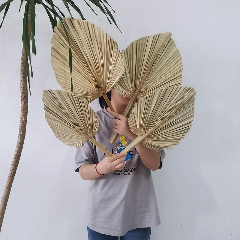 Party Decoration 4pcs Natural Dried Palm Leaves Tropical Bohemian Spears Window Art Wall Hanging Birthday Wedding