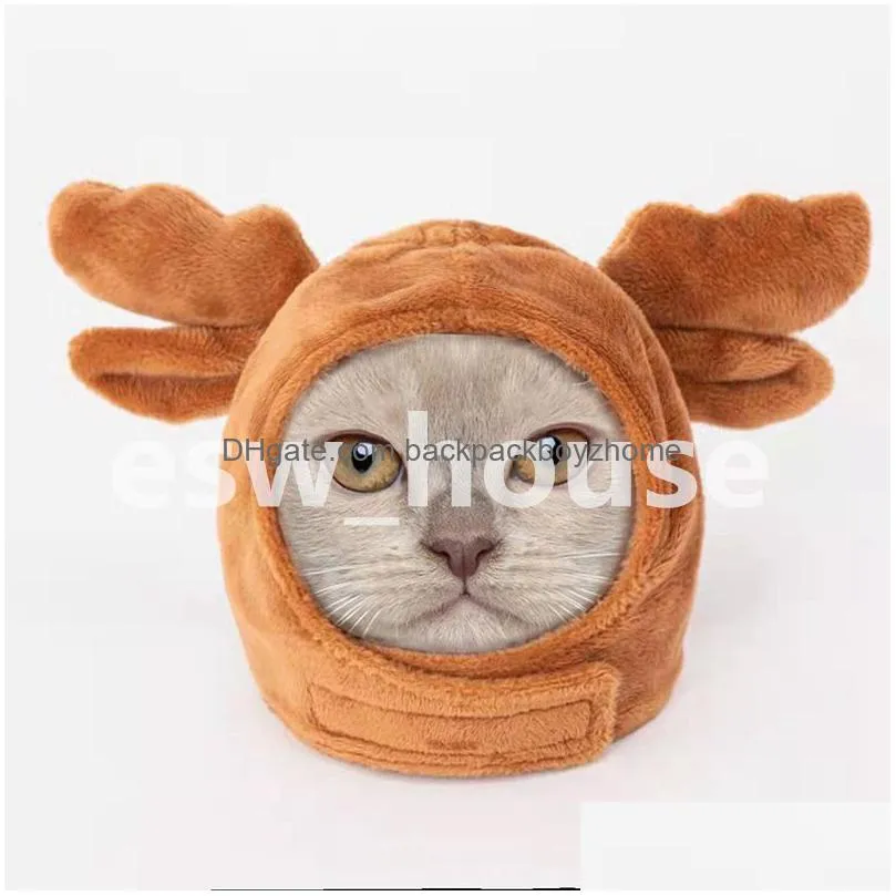 Cute Dog Apparel & Accessories: Funny Caps For Puppies And Cats