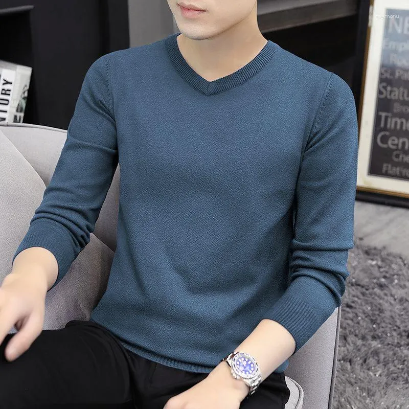Best woolen shop sweaters