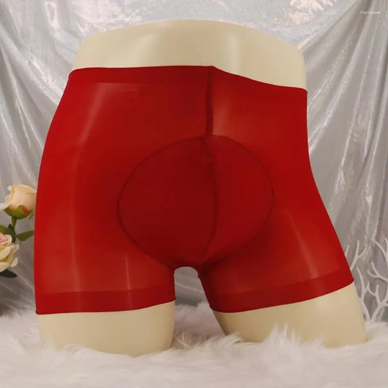 Mens Sheer Glossy Mens See Through Underwear With Ball Pouch And Scrotum  Bulge Perfect For Erotic Bikini Bottom And Shorts From Manilabest, $10.14