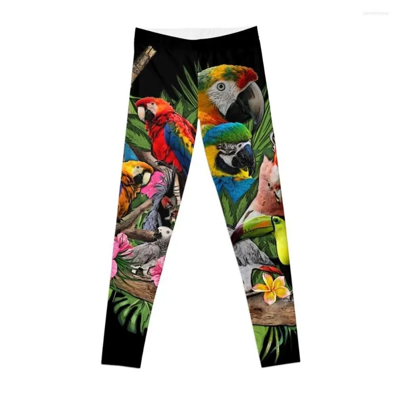 Actieve broek Portret van een Afrikaanse grijze papegaaivogel Kakadu-legging Dames Sportlegging? Dames joggen