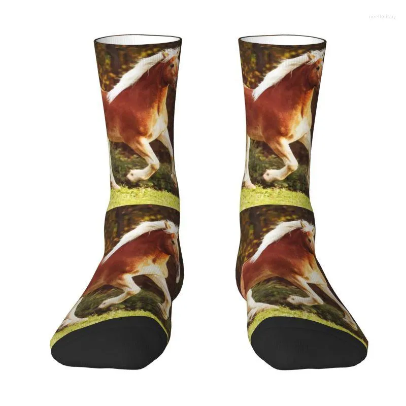 Men's Socks Haflinger Horse Dress Men Women Warm Funny Novelty Animal Crew