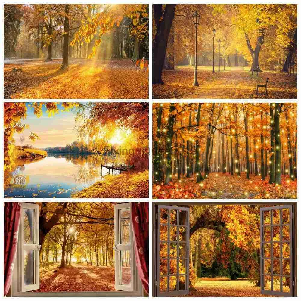 Matériel de fond Automne Forêt Soleil Nature Paysage Toile de Fond pour Photographie Automne Érables Feuilles Arbre Ferme Bébé Portrait Photo Fond Décor YQ231003