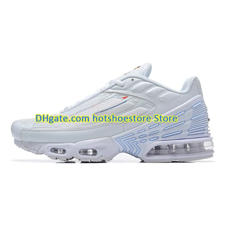 Tn blue fury cheap