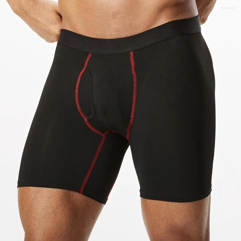 Cuecas 2023 caixa de estilo homens calcinha boxer roupa interior longa para homem shorts e malha homme luxo boxerhomme ginásio gay