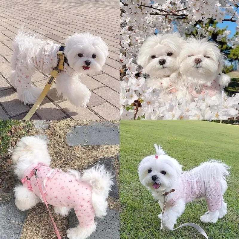 Vêtements pour chiens Combinaison pour animaux de compagnie Printemps Automne Chiot Mode Desinger Vêtements Petit Kawaii Chemise Chat Doux Pyjamas Chihuahua Maltese Yorkshire