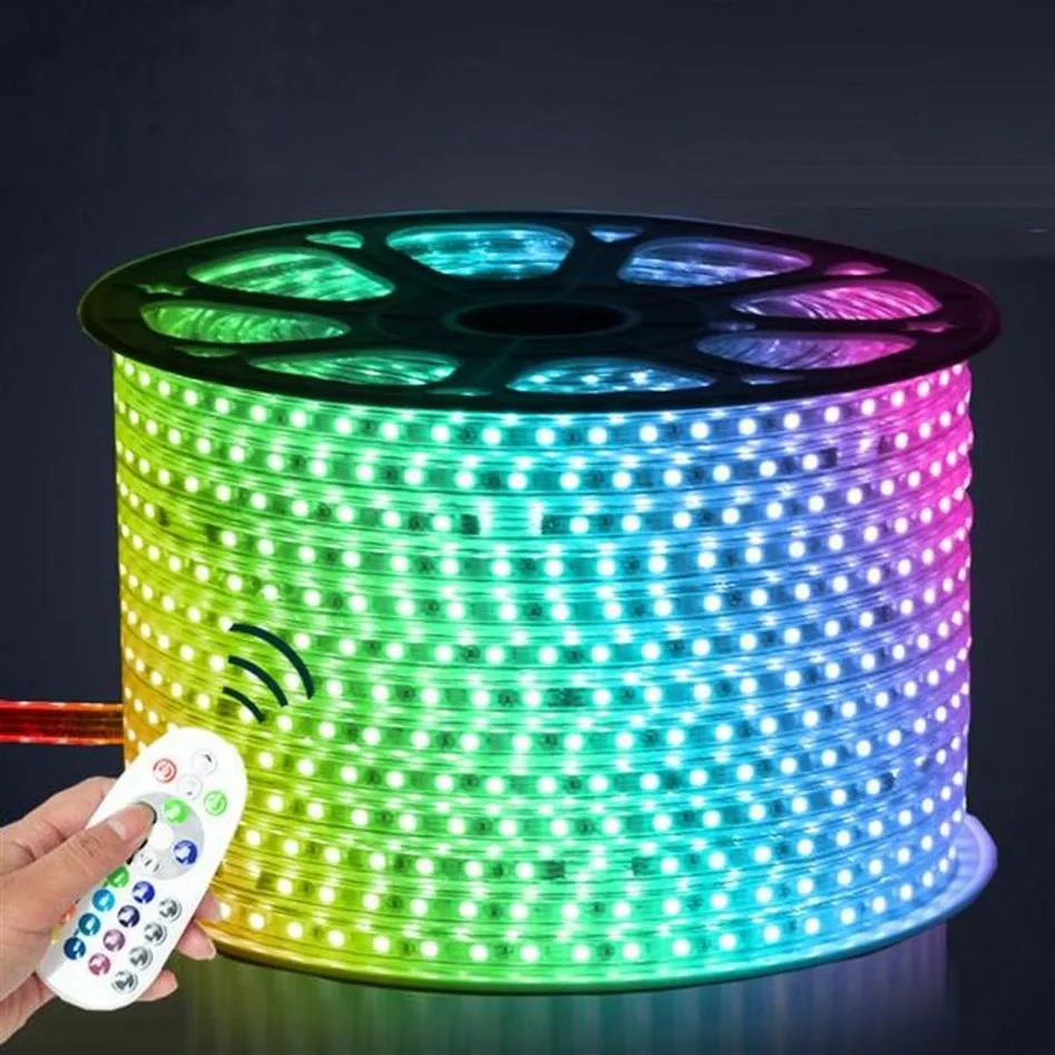 110V 220V LED Strip 5050 50m 100m IP67 Waterproof RGB Dual Color Rope lighting for outdoor with RF Remote controller by DHL312W