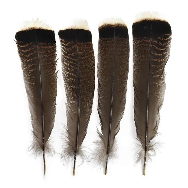 20 Piume Naturali Di Coda Di Tacchino – 15-20 Cm – Soffici E Lucenti, Ideali Per Artigianato, Decorazioni, Acchiappasogni, Matrimoni E Fai Da Te