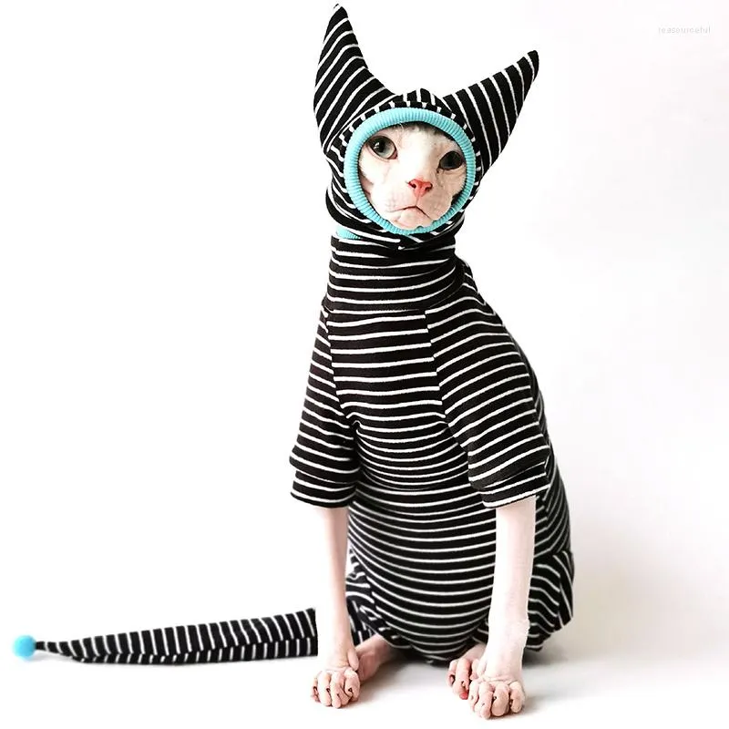 Costumi per gatti Maglione senza peli Abiti Sfinge Abbigliamento a quattro zampe Abiti morbidi per gattini autunnali e invernali per gatti