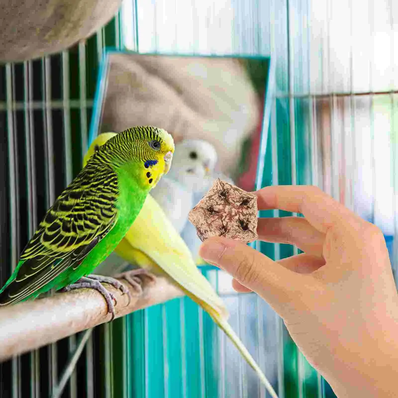 Weiteres Vogelzubehör, 12 Stück, Kauspielzeug für Papageien, Futtersuche, Zubehör für Käfigpapageien, Beißleckereien