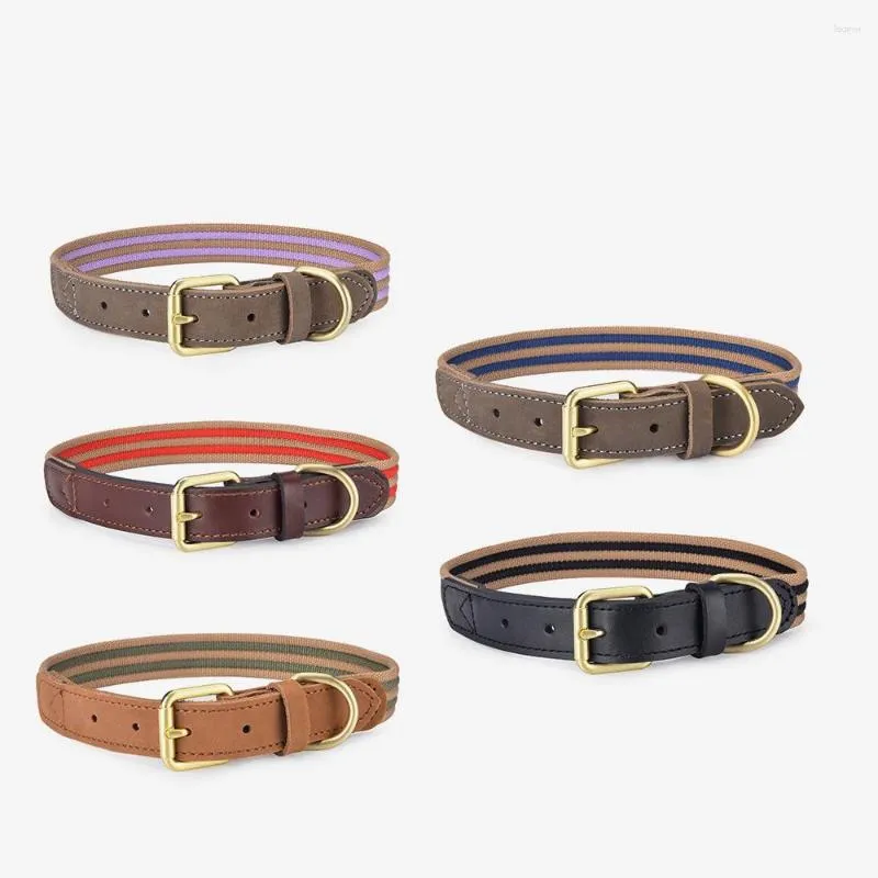 Dog Collars Genuine Leather Pet Collar High Quality Premium Designer Accessories S M L