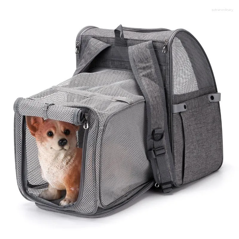 Sac à dos extensible pour animaux de compagnie, sac à dos pliable pour chiens et chats, fournitures d'extérieur à la mode