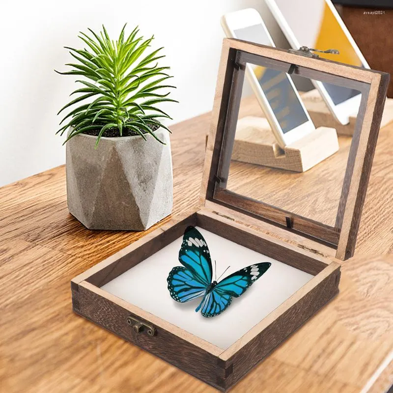 Frames Dried Flowers Specimen Container Insect Display Holder Acrylic Vintage Case Butterflies Wood