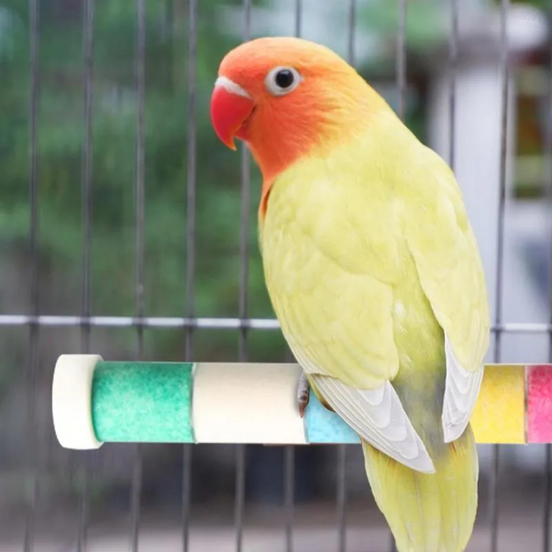 Autres fournitures d'oiseaux Bâton de meulage Perroquet givré Poteau debout Jouets d'exercice sûrs et sains pour perruches perruches tourtereaux moyen