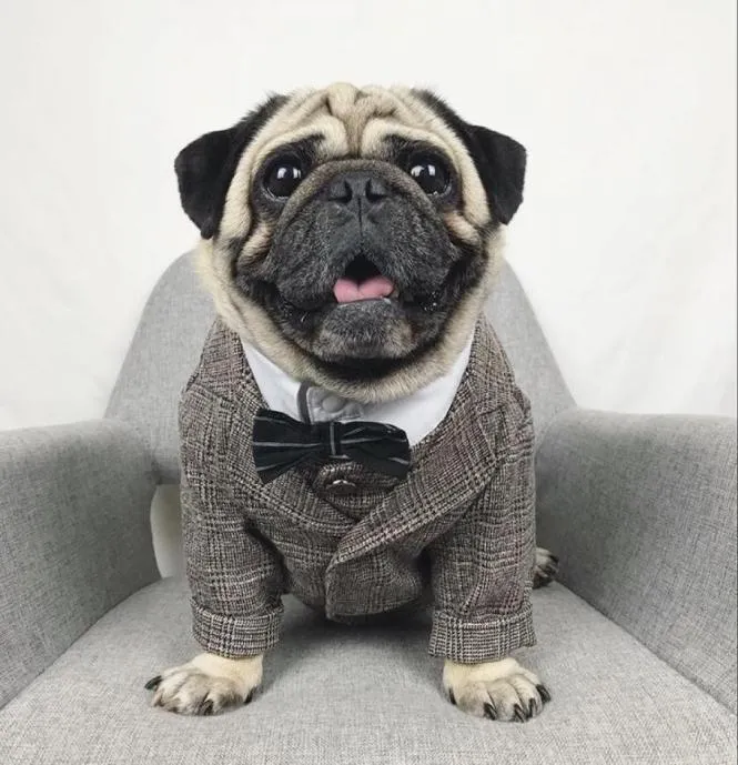 Dog Apparel Cat Clothes Wedding Party Suits For Small Dogs Pet Tuxedo Coat Costume XS S M L XL 2XL4989372