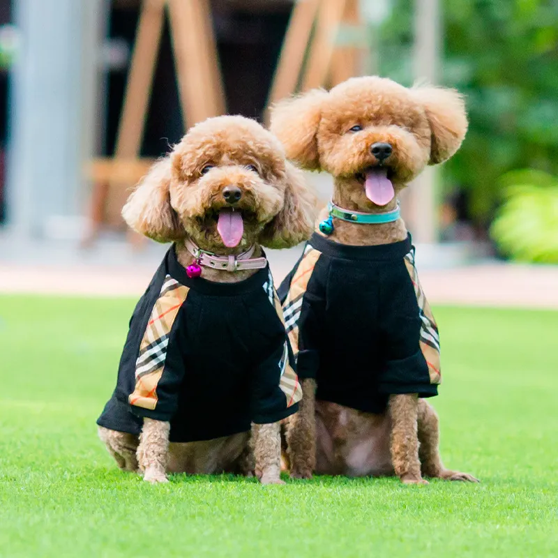 Designer hondenkleding Designer hondenhoodies Hondenonderjas ondergoed Kleine hond Pet Design kleding