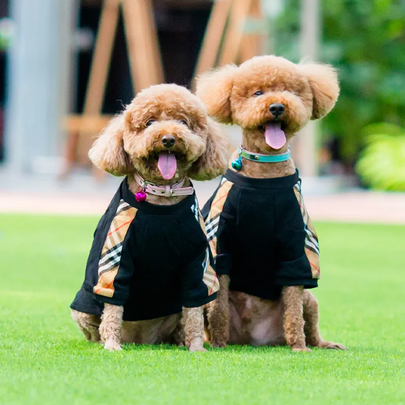 Vêtements pour chiens de créateurs Sweats à capuche pour chiens de créateurs Manteau de fond pour chien Sous-vêtements pour petits chiens Vêtements de conception pour animaux de compagnie