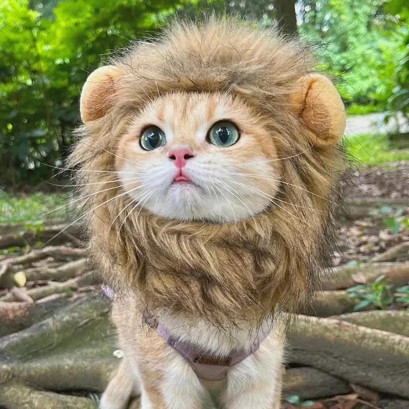 Kostiumy kotów czapka Fancy Kitten Lion Peruka Kostium ubrania Cosplay z akcesoriami grzywa impreza kapelusz urocze zwierzęta psychiczne śmieszne uszy