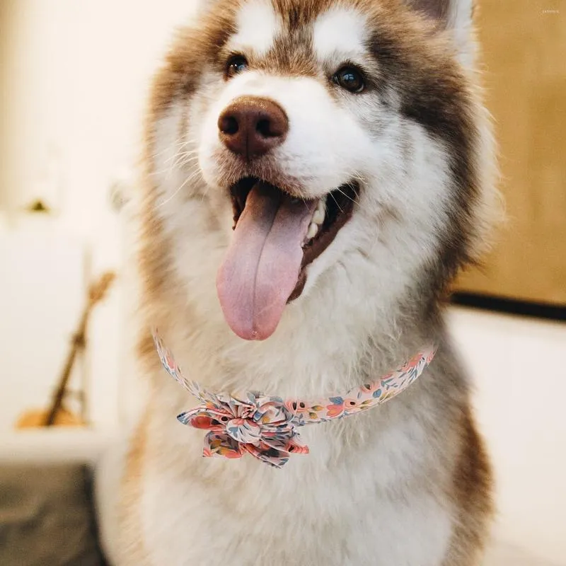 Collare per cani con fiore in Nylon collari per cuccioli di cane con stampa  floreale personalizzati