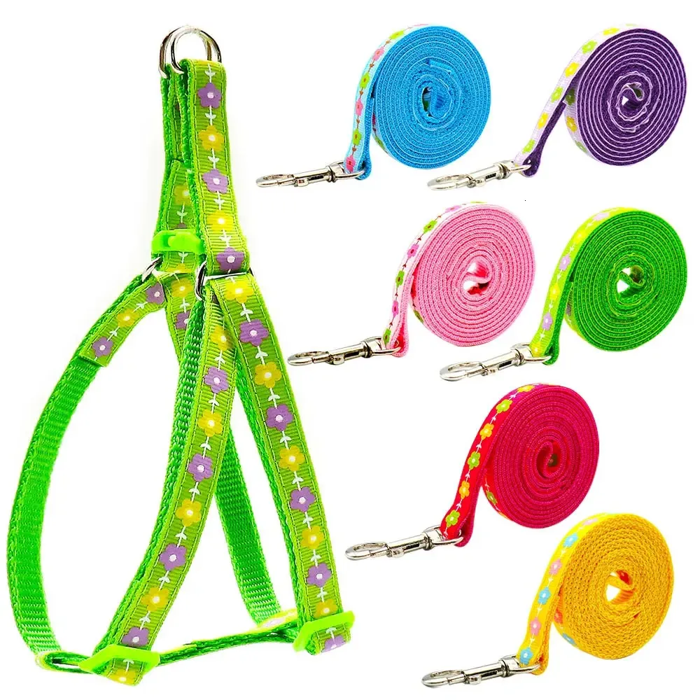 Cat Collars Leads 24 pièces fournitures de formation pour animaux de compagnie petit chien chat harnais laisse motif de fleur réglable gilet collier chiot en plein air marche laisses 231009