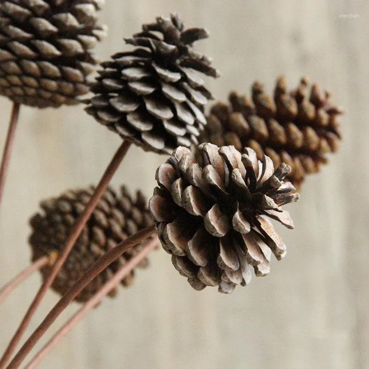 Decorative Flowers 3pcs Iron Pole Withered Pine Fruit Pinecone Deal Apple Manual Dried Home Decoration Pography