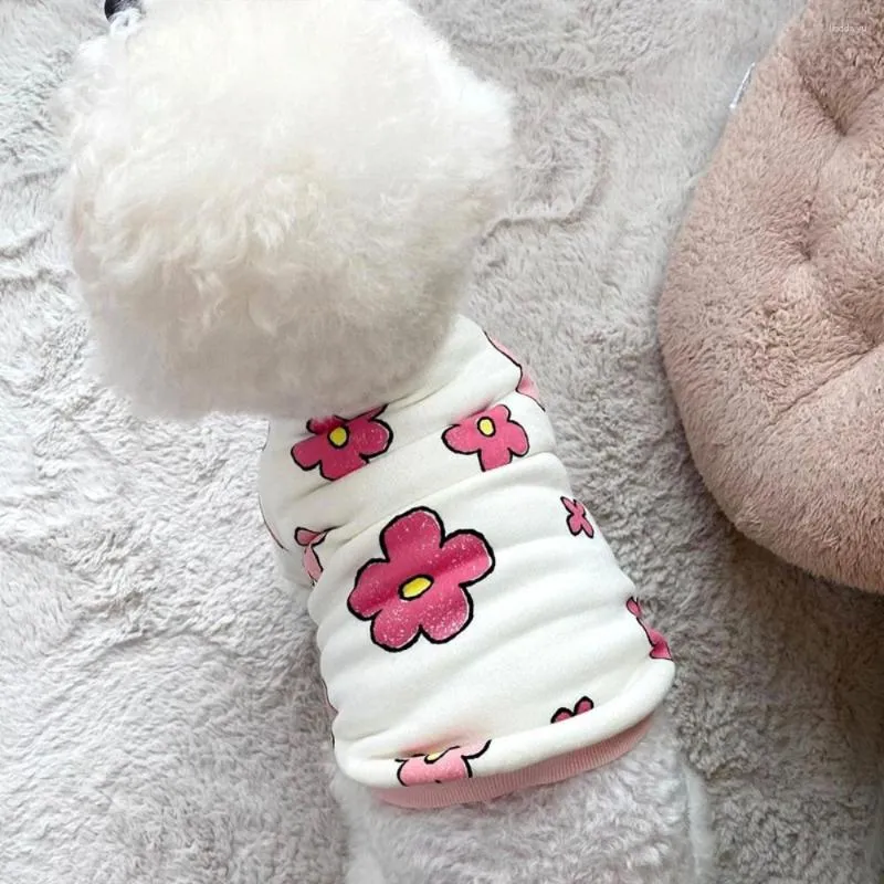 Ubrania z odzieży dla psa wiosna jesień urocza kreskówka pullover mała moda desinger dzianin kota miękka bluza z kapturem Yorkshire pudle chihuahua