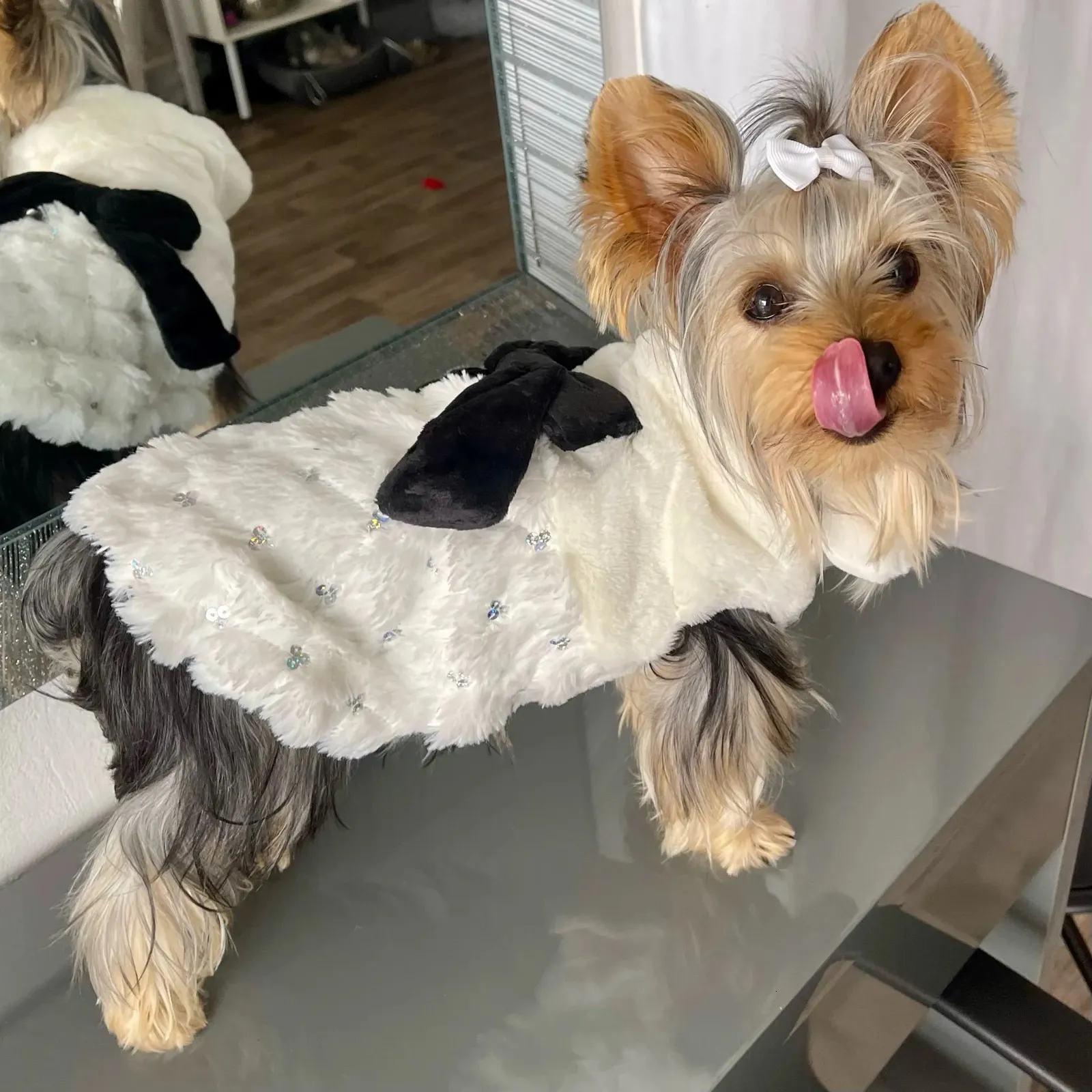 Hundkläder Autumn Winter Warm Clothes for Small Dogs Cats Puppy Bowknot White Coat Jacket Elegant Chihuahua Yorkie Costume Pet Overalls 231009