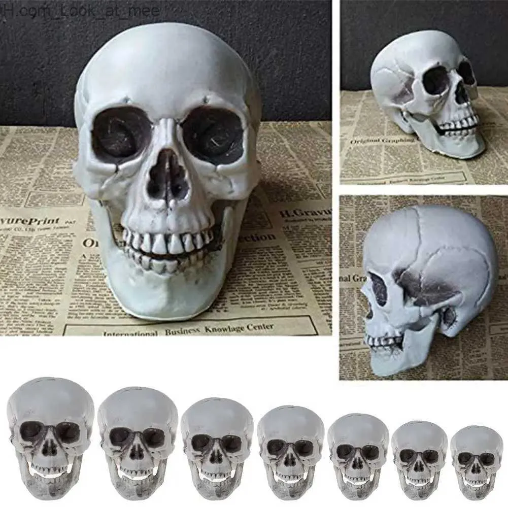 Outros suprimentos para festas de eventos Decorações de Halloween Modelo de cabeça de caveira artificial Modelo de plástico Osso de caveira Horror Esqueleto Modelo de barra de festa Modelo anatômico humano Q231010