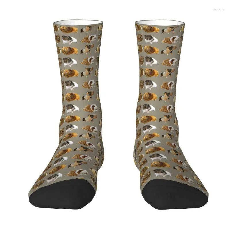 Men's Socks Cute Grey Guinea Pig Variety Dress Unisex Warm Comfortable 3D Print Animal Crew