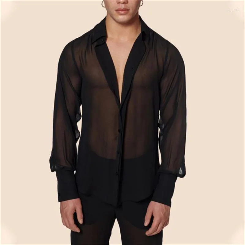Men's Casual Shirts Summer See-through Mesh Sexy V Neck Long Sleeve For Men Breathable Night Club Stage Costume Gothic Street Blouse