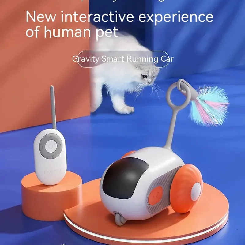 Cat toys for humans clearance
