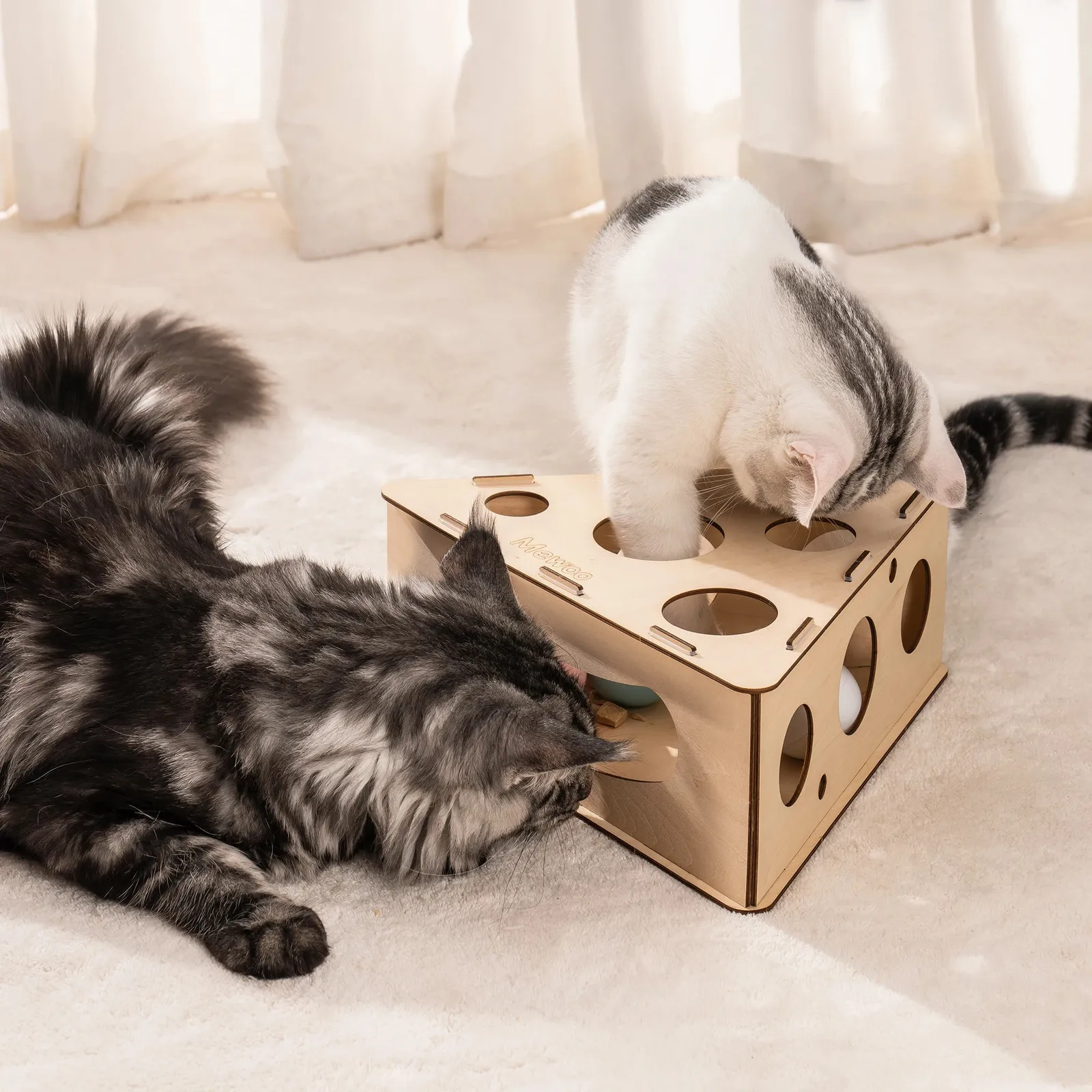 Jouets pour chats Mewoofun jouets interactifs pour animaux de compagnie pour chats d'intérieur boîte à fromage Triangle avec trois boules jouet pour chat 231011