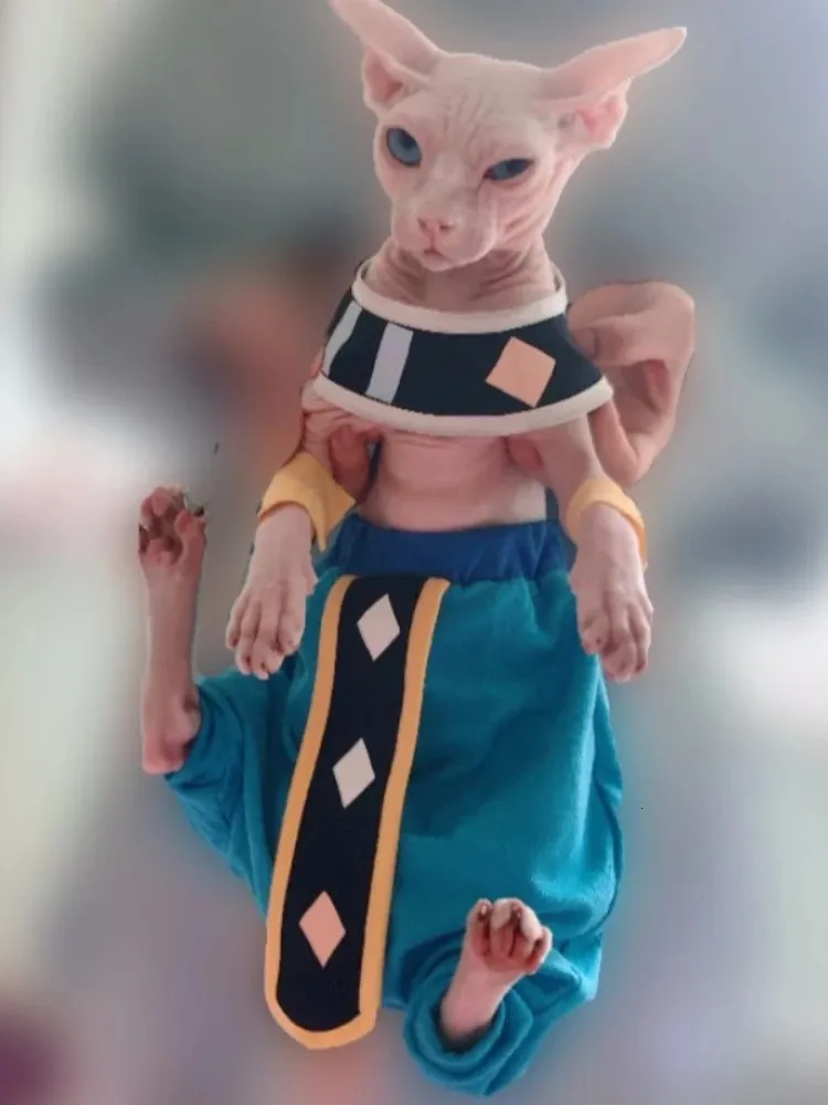 S Sphinx Cosplay Costume All Season Hairless Cat Clothes In Pure Cotton With Crotch Proof Trousers Harem Anime Characters Cloth 231011 From Bao009 15.04 DHgate.Com