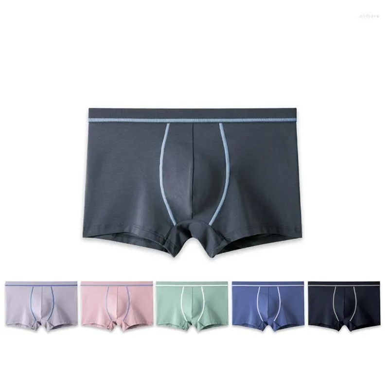 Underpants Men's Underwear Modal Cotton Comfortable And Fashionable Boxer Shorts 3PCS