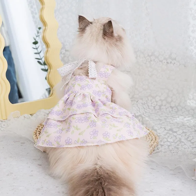 Hundklädklänning Spring och sommaren tunn andningsbar prinsessan Stil Big Bow Floral Puppets Cat Pet Clothes Puppy kjol