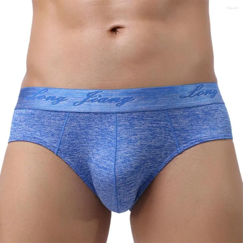 Longjiang Mens Skin Friendly Mid Rise Briefs For Men Wear