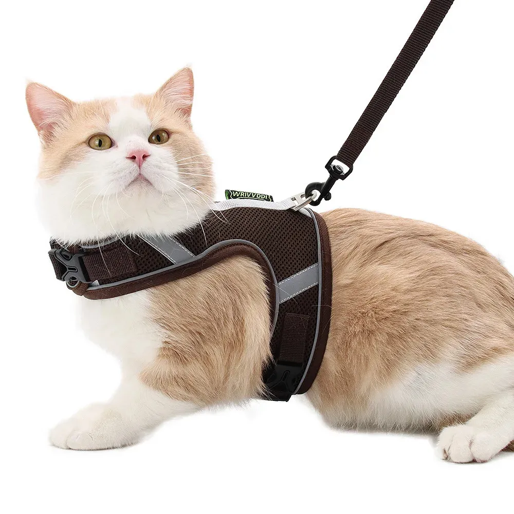 Katthalsar leder katt Harness Walking Lead Leash Mesh Bröstkrage Reflekterande hundhalsar Justerbar bröstplatta Easy Control Pet Accessories 231011