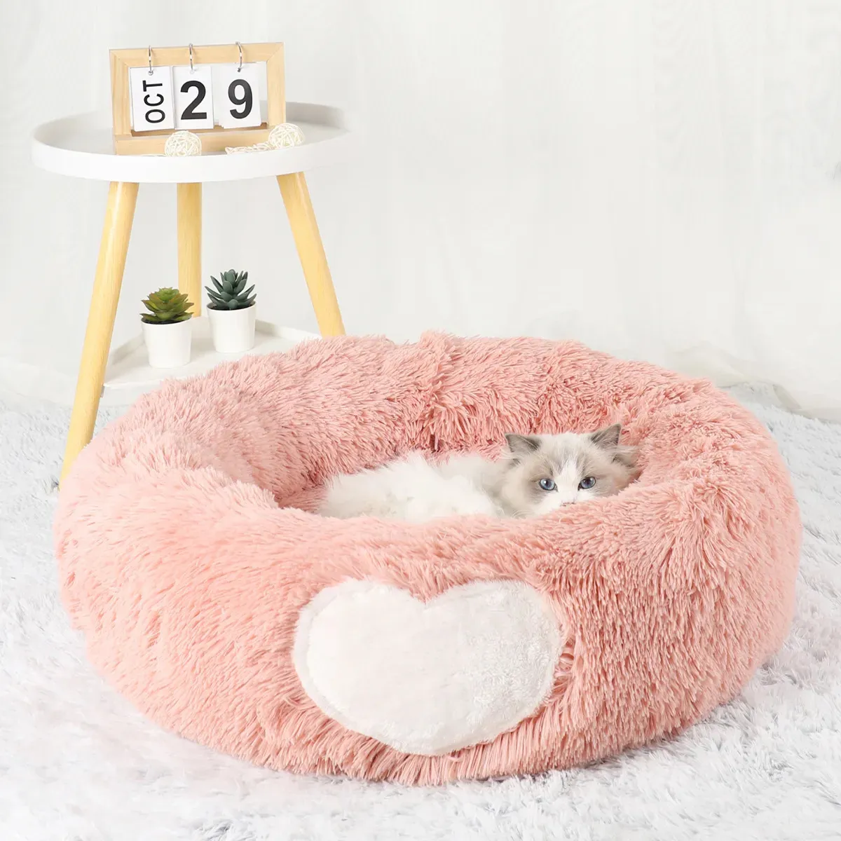 Kattenmanden Meubels Kattenbed Huisdierenmeubels Kittenaccessoires Huis Winterbank Clamshell Ronde bedden Mand Producten Benodigdheden Warme kussens Kat 231011