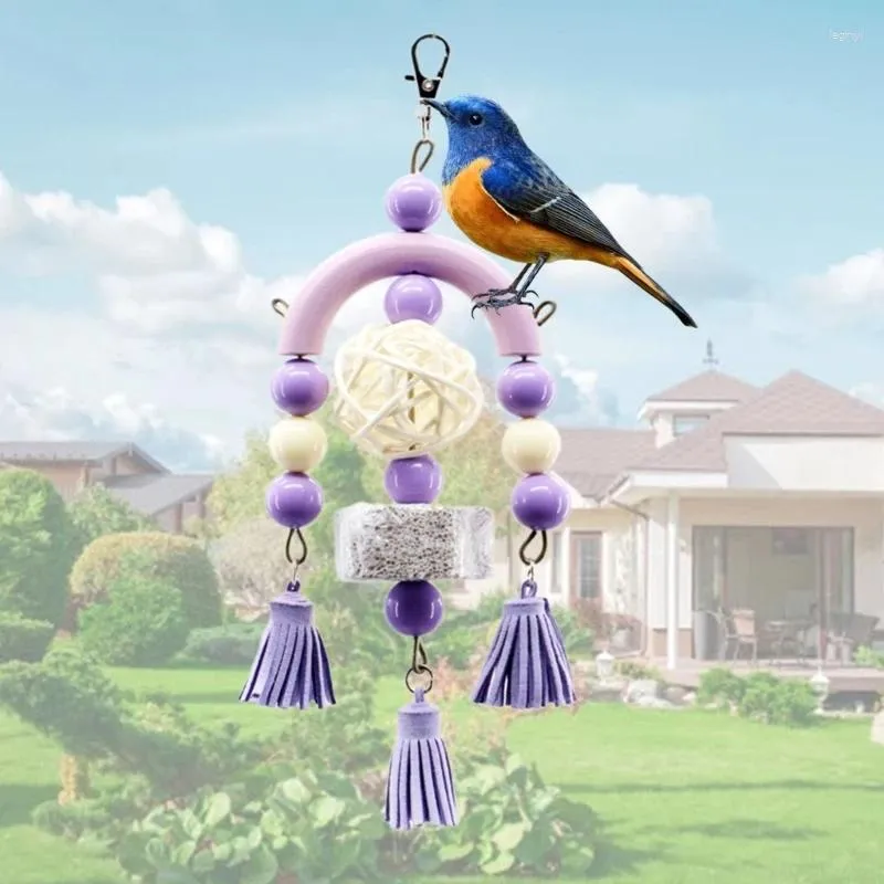 Other Bird Supplies Hanging Bite Chewing Toy Small Parrot Cage Acrylic Beaded Pet Resistances Molar