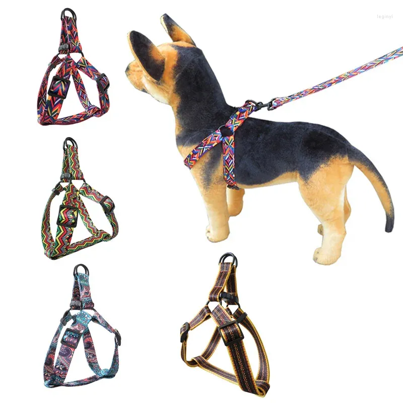 Hundkrage Pretty Collar Harness Lash Set för små medium Teddy Chihuahua bältesband Justerbart halsband leder rep husdjurstillbehör